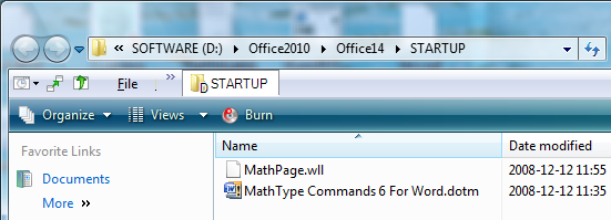 Word 2010 MathType Setting